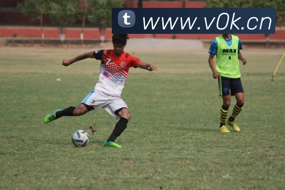 f8体育官网登录入口平台生态图